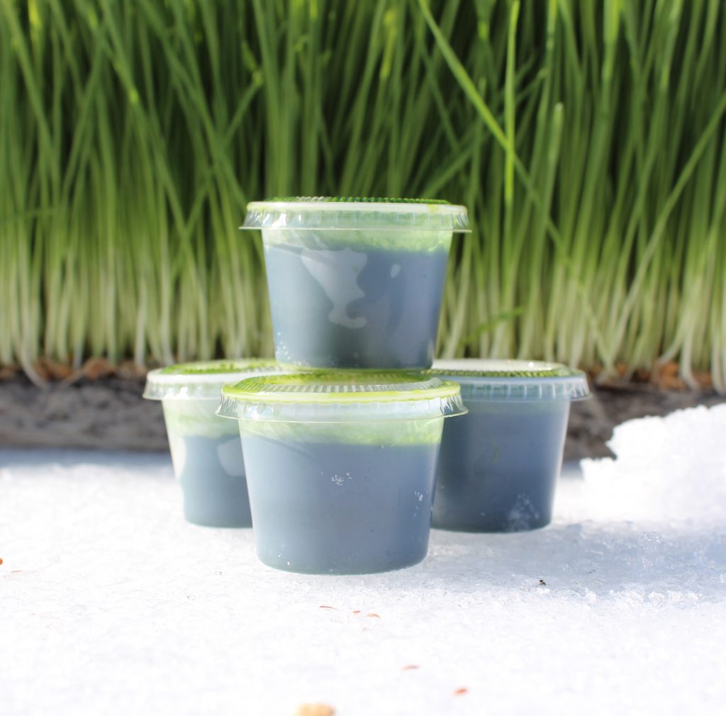 Frozen Wheatgrass Juice Delivery Landing Page