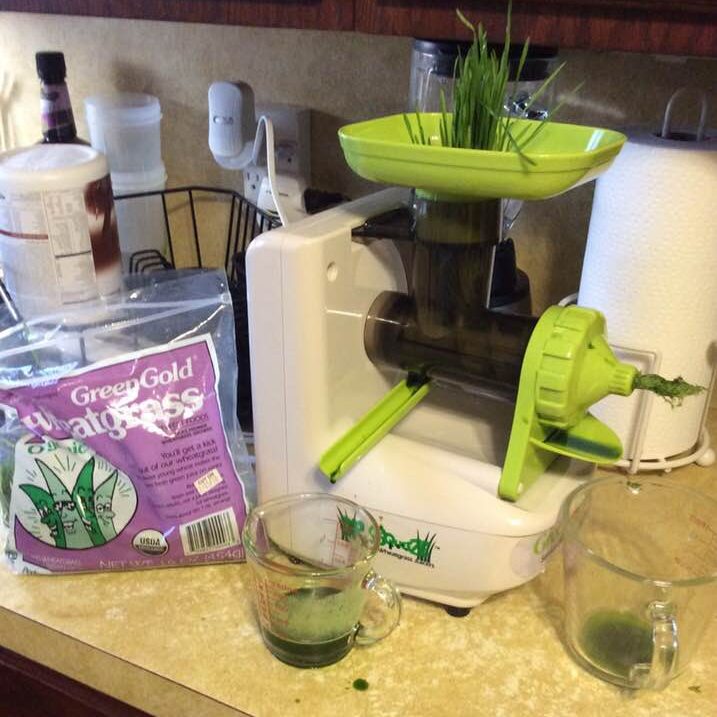 Wheatgrass Info 8 27658031 10212559498955373 6696252263665328974 n e1540581433825