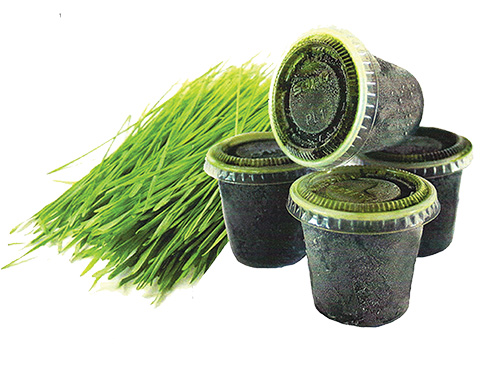 frozen wheatgrass benefits