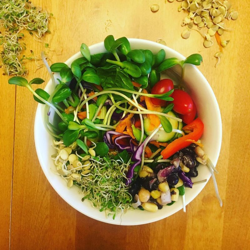 Sunflower Salad Perfect Foods