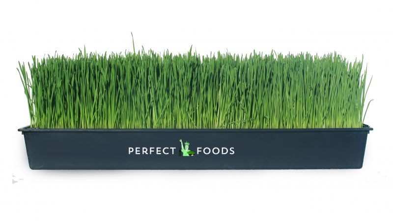 Wheatgrass Tray Perfect Foods