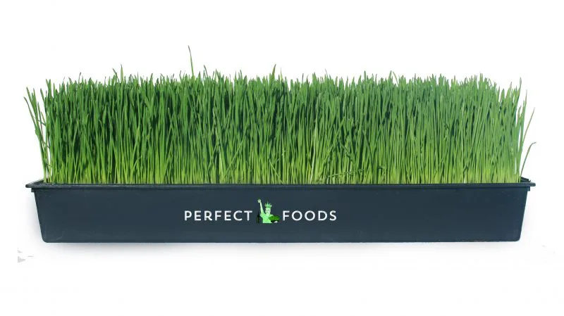 Health Food Stores / Supermarkets 7 Wheatgrass Tray Perfect Foods