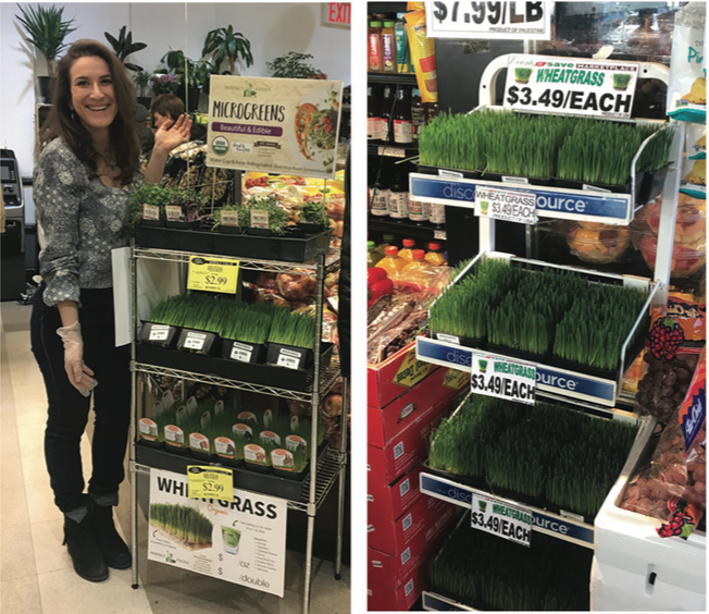 Health Food Stores / Supermarkets 14 Screen Shot 2019 03 22 at 1.42.06 PM