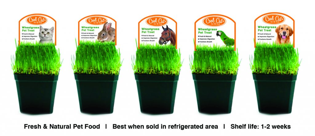 cool cat wheatgrass pet treat flyer1