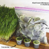 Frozen Wheatgrass Juice Subscription