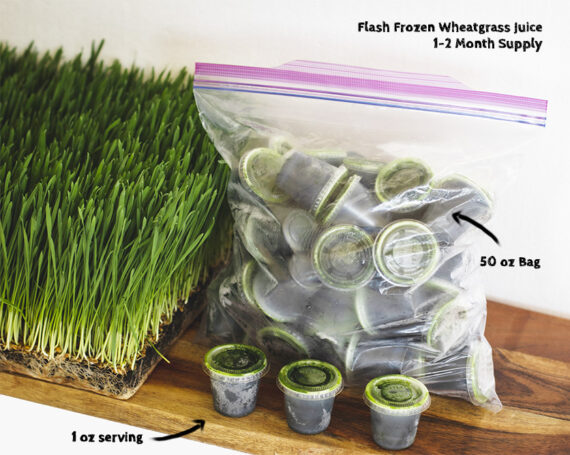 frozen wheatgrass juice