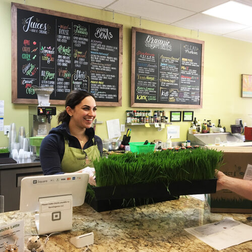 wheatgrass juice bar