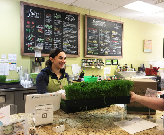 wheatgrass juice bar