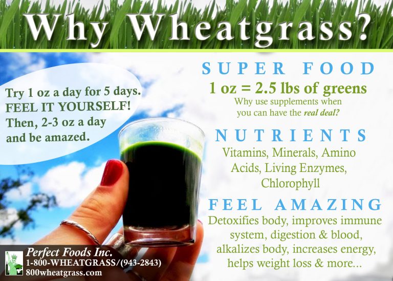 Juice Bars 9 5X7why wheatgrass OFFICIAL AUG