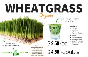 Wheatgrass Poster with price