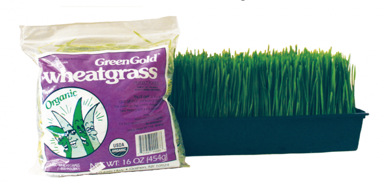 wheatgrass cut lb