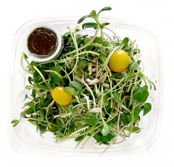 Microgreen Salad