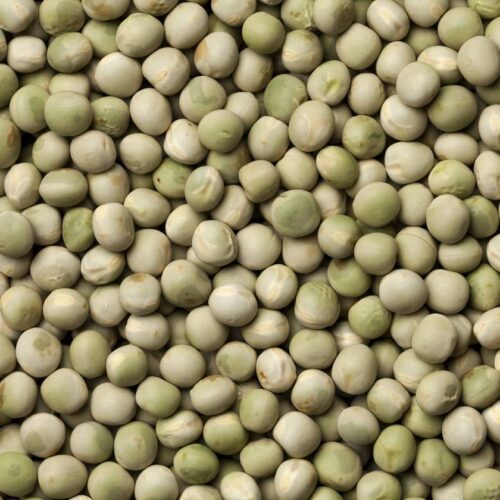 pea seed for microgreens