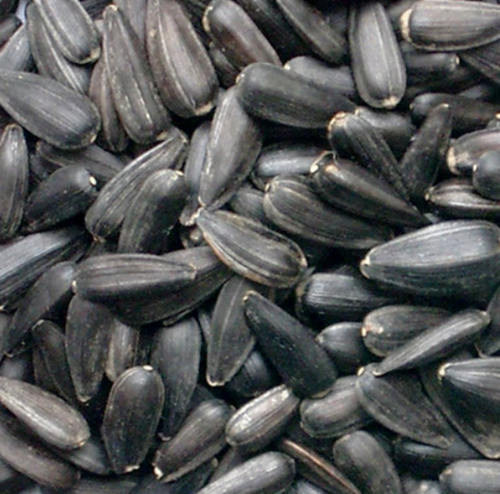 sunflower seeds