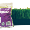 Wheatgrass - Fresh, Organic