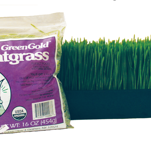 wheatgrass cut lb