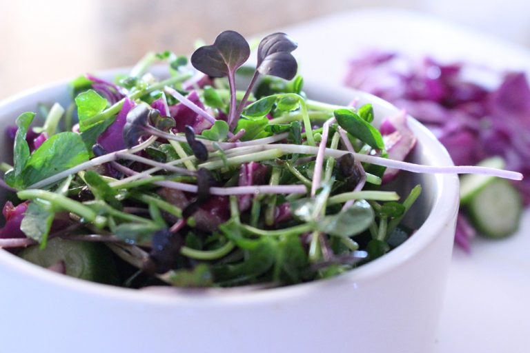 Microgreens 1 Pea Cabbage Salad smaller