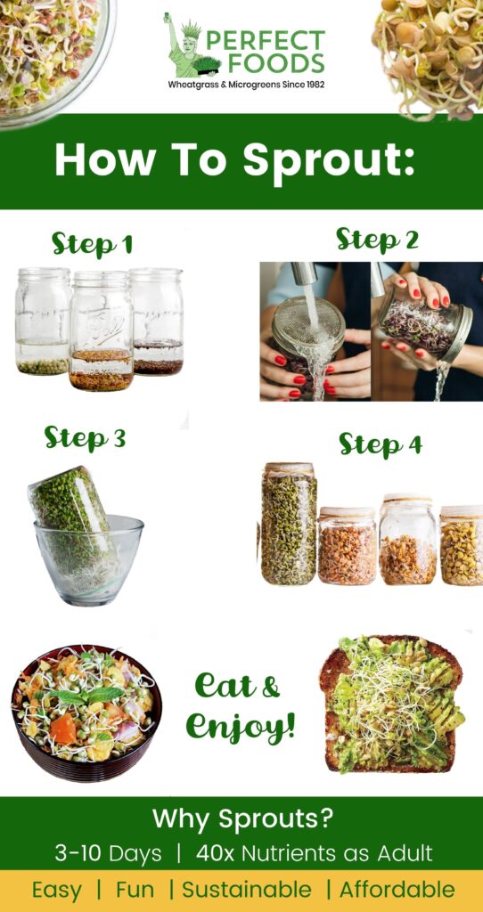 Beginner Sprouting Kit