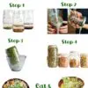 Beginner Sprouting Kit - Image 2