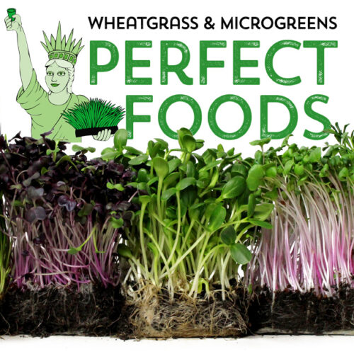 perfect foods wheatgrass microgreens