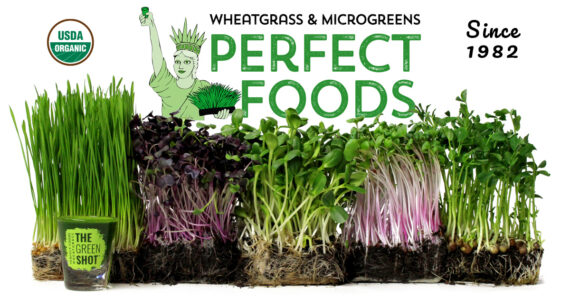 perfect foods wheatgrass microgreens