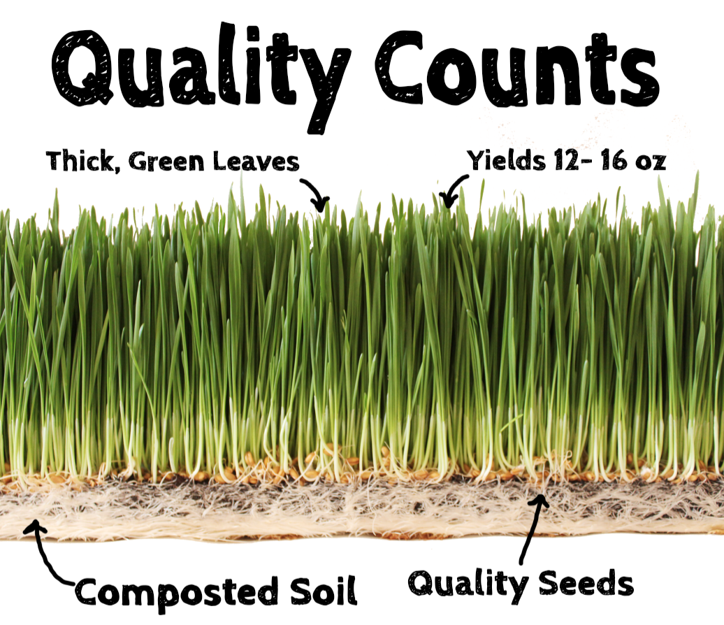 About Us - Quality of Wheatgrass Composted Soil