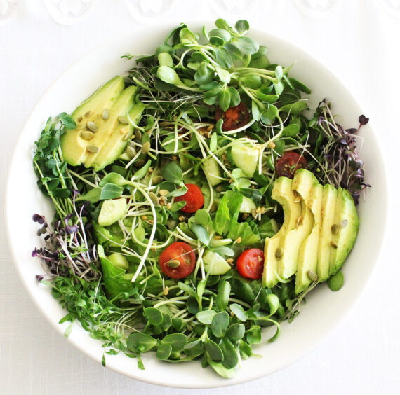 microgreens salad