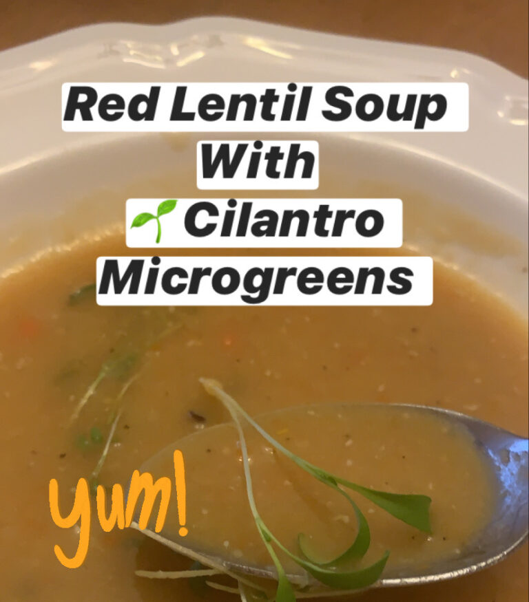 Red Lentil Soup