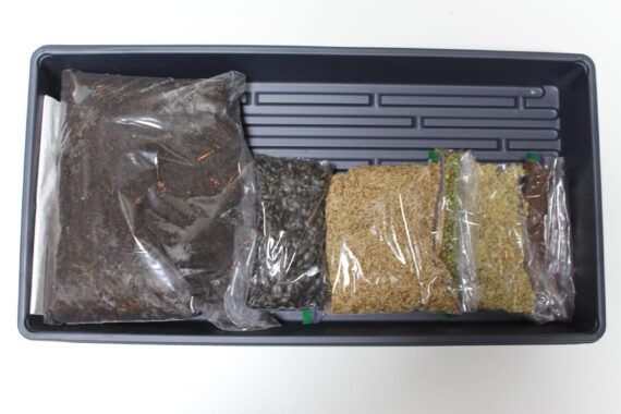 Microgreens Grow Kit