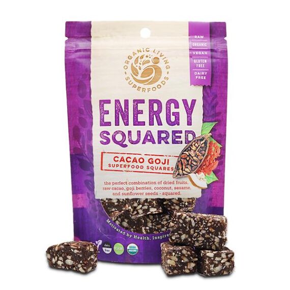 Organic Raw Sprouted Cacao Goji Squares - 1.75 oz
