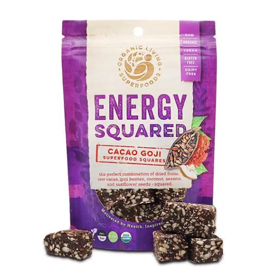 Organic Raw Sprouted Cacao Goji Squares - 1.75 oz