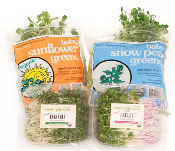 Microgreen Starter Package - Fresh, Organic