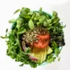Pea Microgreens (Pea Shoots) - Fresh, Organic - Image 5