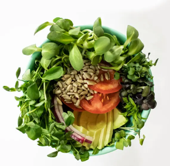 Pea Microgreens (Pea Shoots) - Fresh, Organic - Image 5
