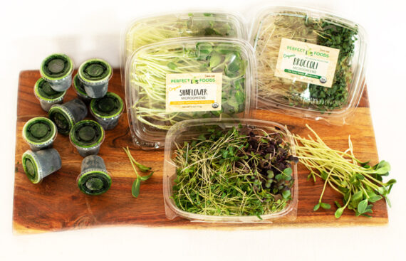 Beginner Sampler (10 Fzn + Br +SF + Co + snack) - Image 2