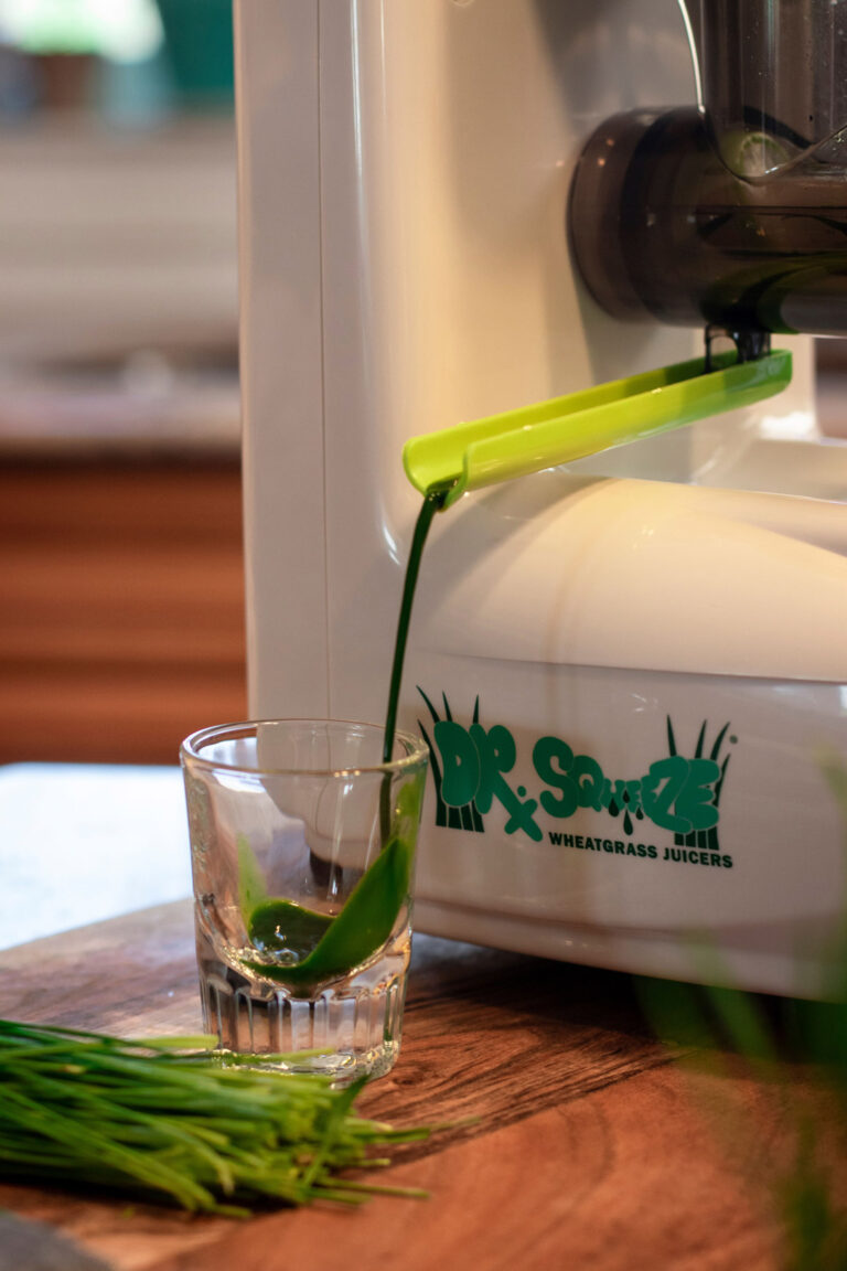 Dr. Squeeze Green Queen Household Electric Wheatgrass Juicer