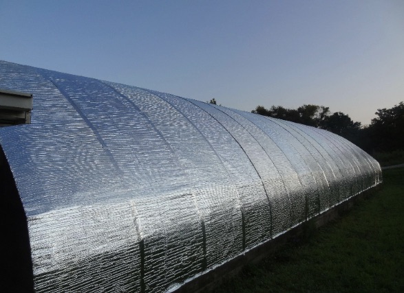 Harley’s Stories: Greenhouse Extension and Sending the Kids Overboard! 3 thumbnail image0