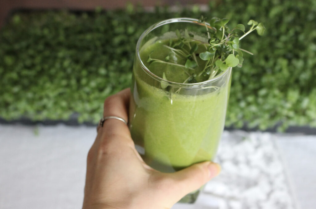 CancerFighting Broccoli Microgreen Smoothie Recipes 2021