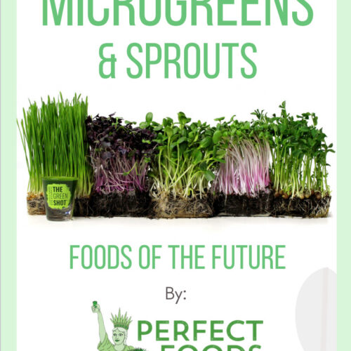 wheatgrass,microgreens, sprouts foods of the future