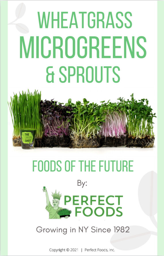 wheatgrass,microgreens, sprouts foods of the future