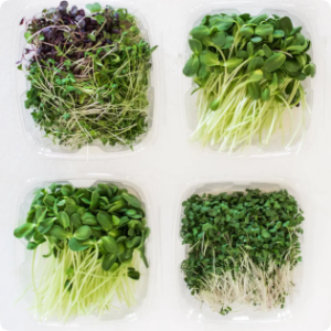 microgreens