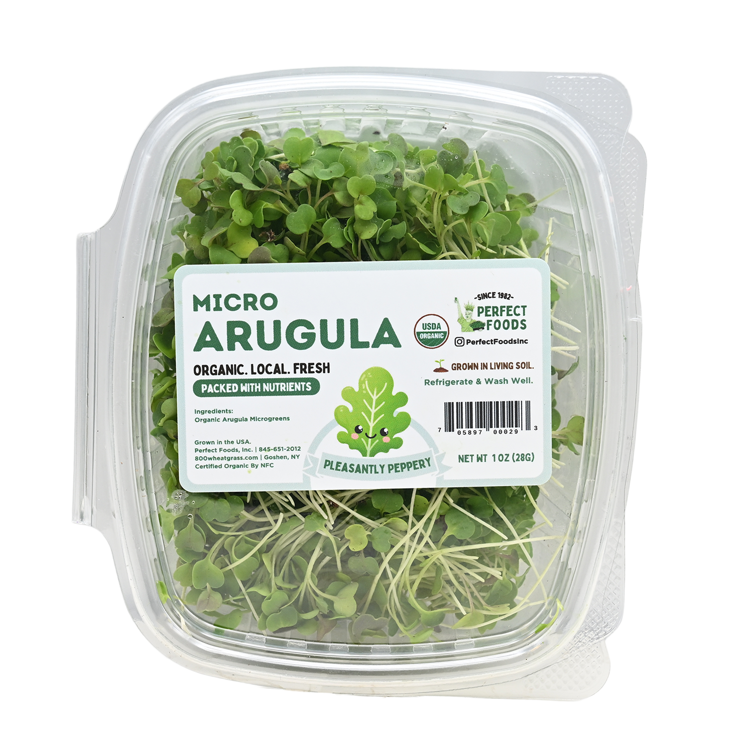 Arugula Microgreens - Fresh, Organic 2 Arugula Microgreens